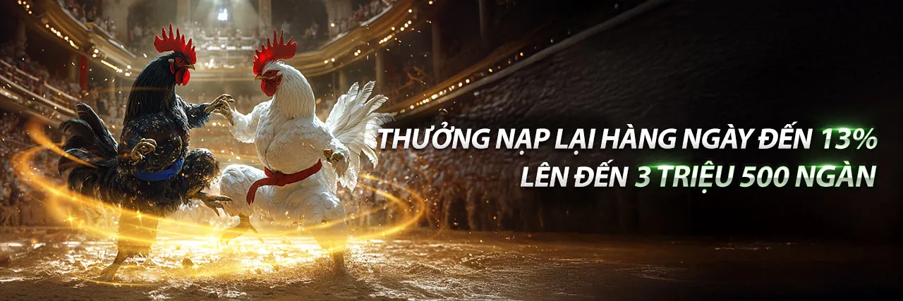 Hình ảnh chính blog ev99link